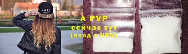 дживик Абаза