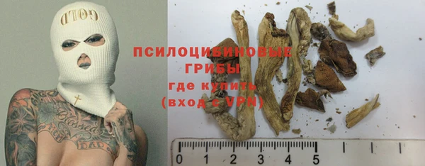 дживик Абаза