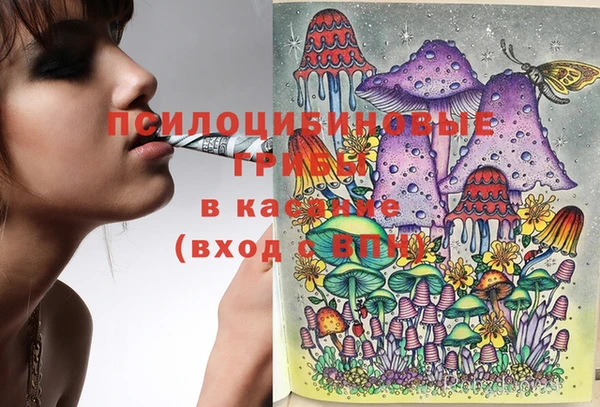 мдпв Абинск