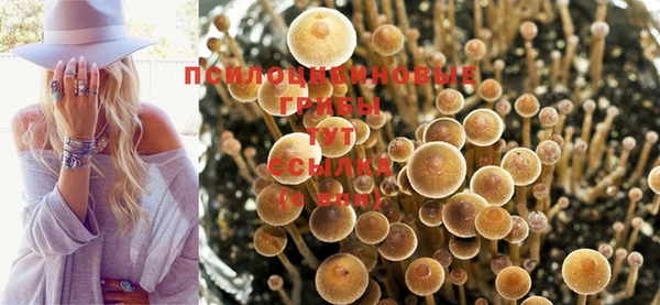 дживик Абаза