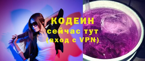 дживик Абаза