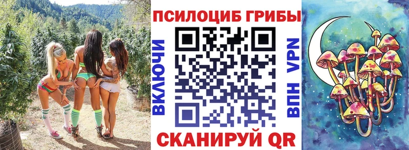 Псилоцибиновые грибы Cubensis  ОМГ ОМГ ссылка  Сысерть  купить наркотик 